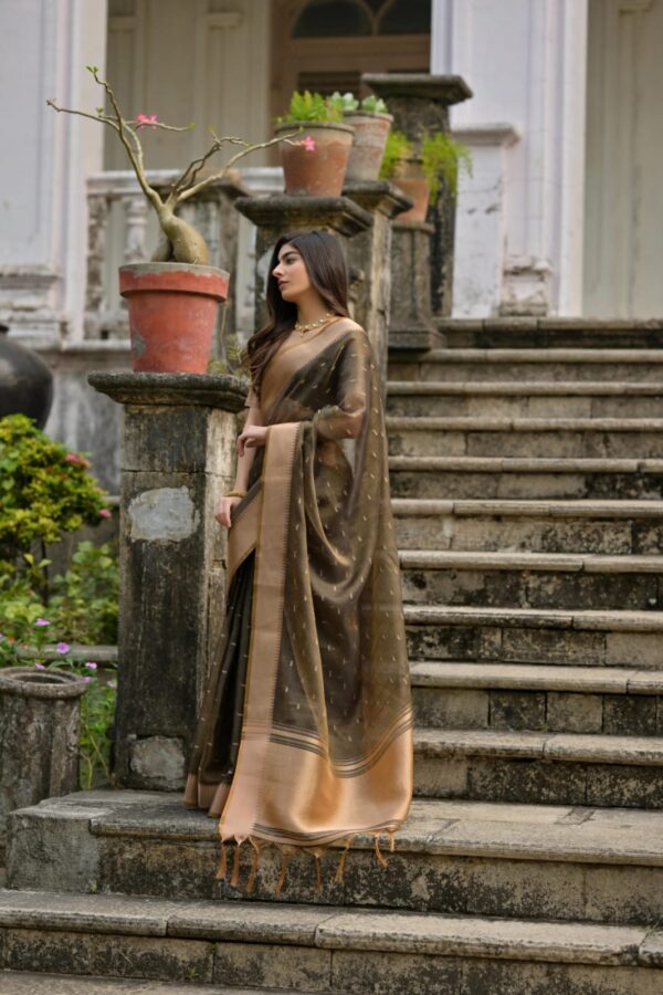 Kalyani Silk Saree